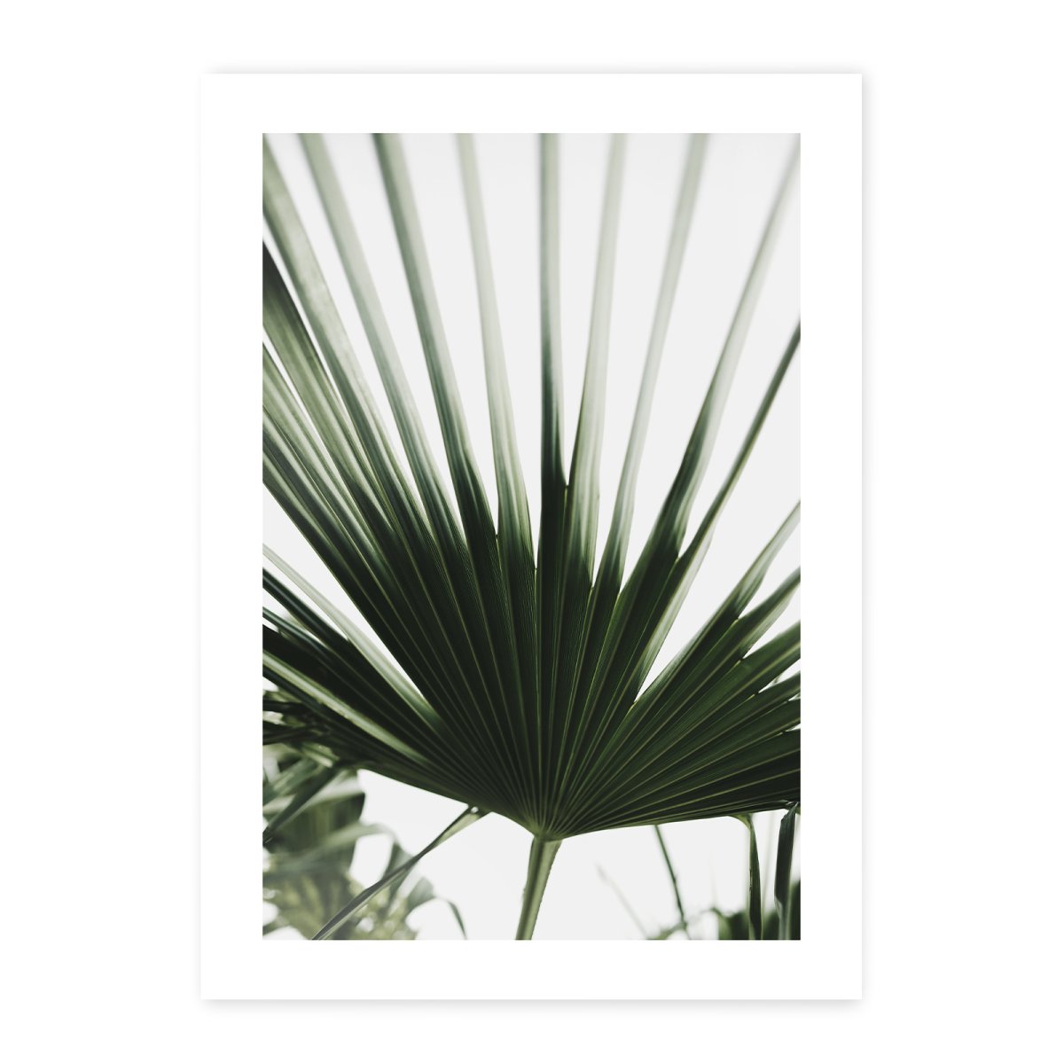 Naturmotive