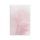 Feder Rosa 4