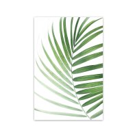Palmenblatt 1