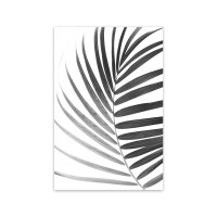 Palmenblatt 2