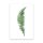 Fern Blatt