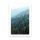 Wald Landschaft