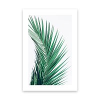 Palmenbl&auml;tter 3