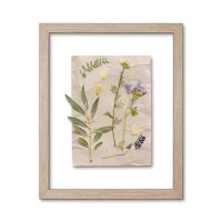 Doppelglasrahmen Lavanda Sonoma Eiche (Dekor) 30 X 40 cm