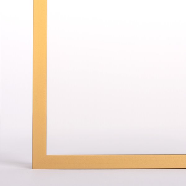 Bilderrahmen Alena Aluminium Alubilderrahmen 60 x 90 cm Gold Fotorahmen, Wechselrahmen, Posterrahmen, Puzzlerahmen, Aluminium Bilderrahmen