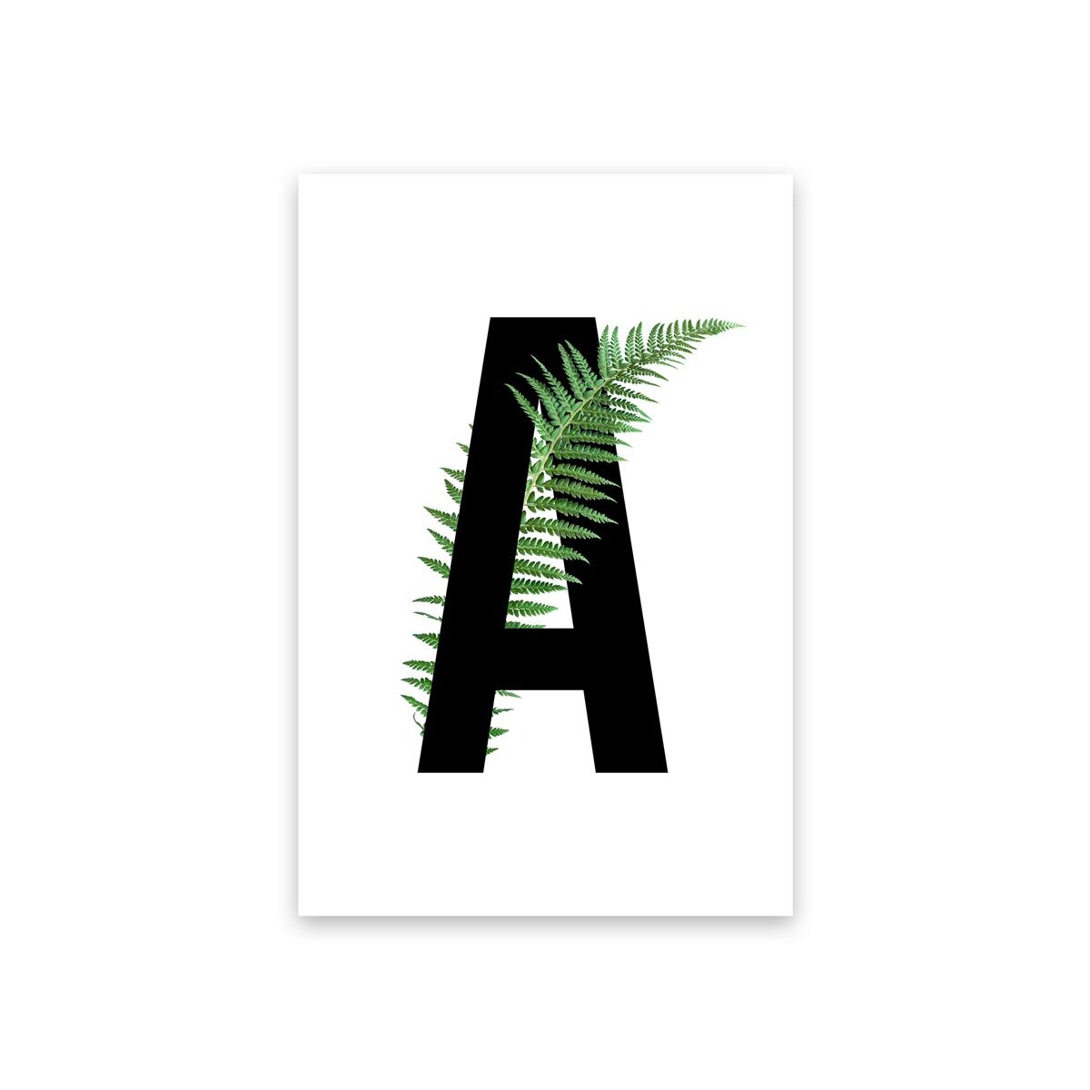 Buchstaben A-Z Palmen Blätter Design, 11,56 €