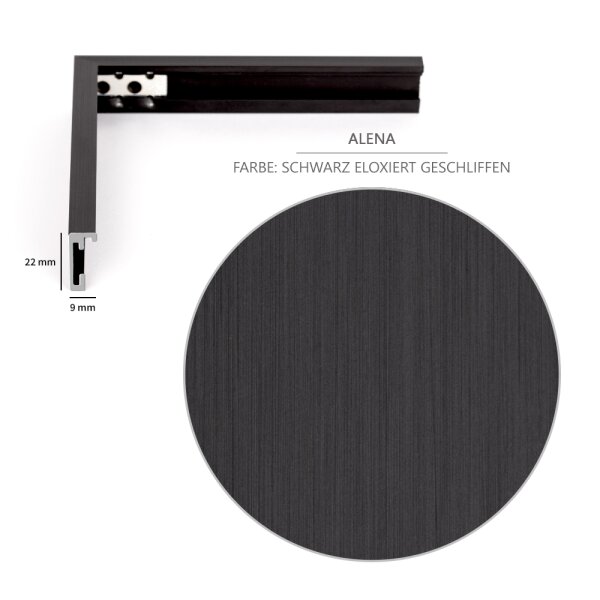 Bilderrahmen Alena Aluminium Alurahmen mit 9 mm Rahmenleiste